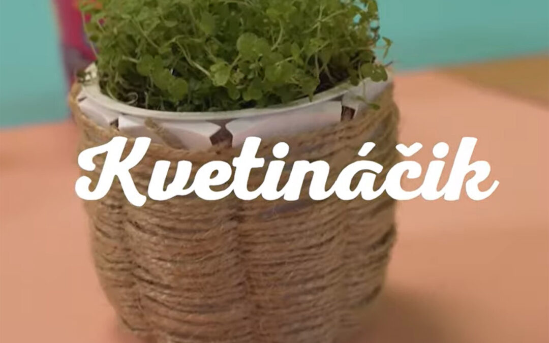 DIY kvetináčik s&nbsp;NiKA 🌿🌱